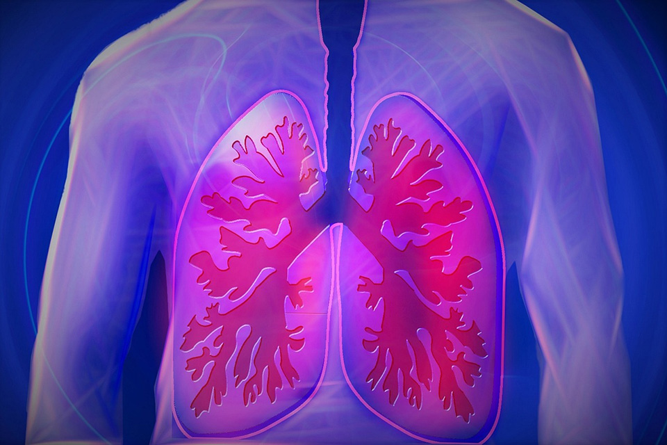 Illustration of torso showing position of lungs